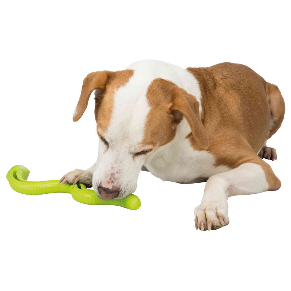TRIXIE Wąż na smakołyki dla psa Snack-Snake 42cm 5.jpg